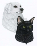 desenhosobencomenda